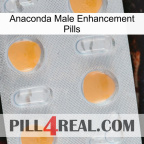 Anaconda Male Enhancement Pills 24